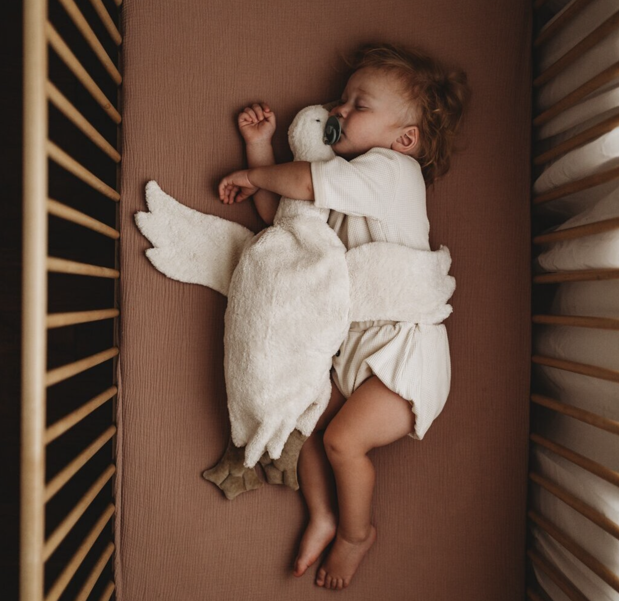 Screenshot 2025-12-16 at 14.30.37.png