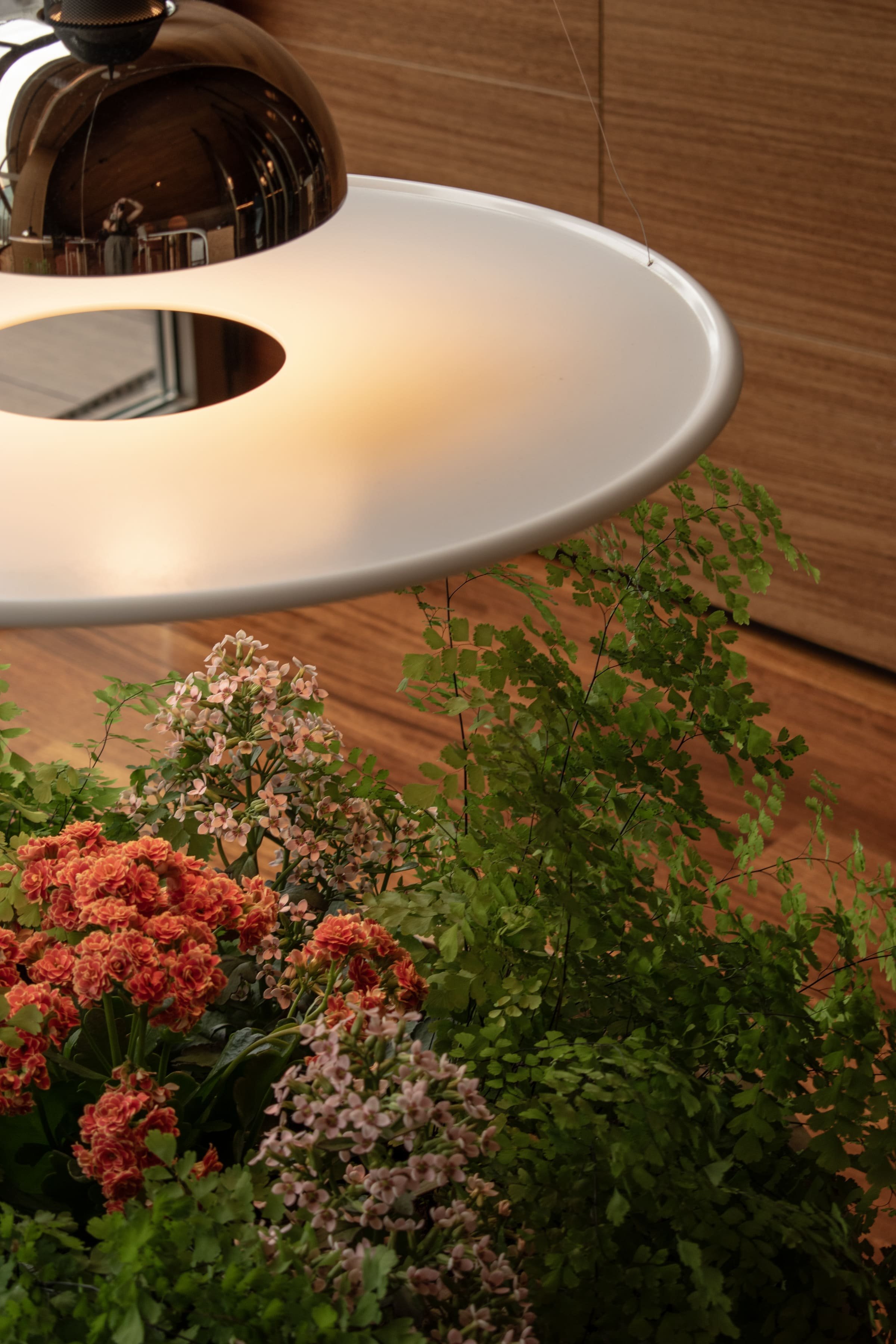 Blossom_Lago Interioriza_Camuriz 05.jpg