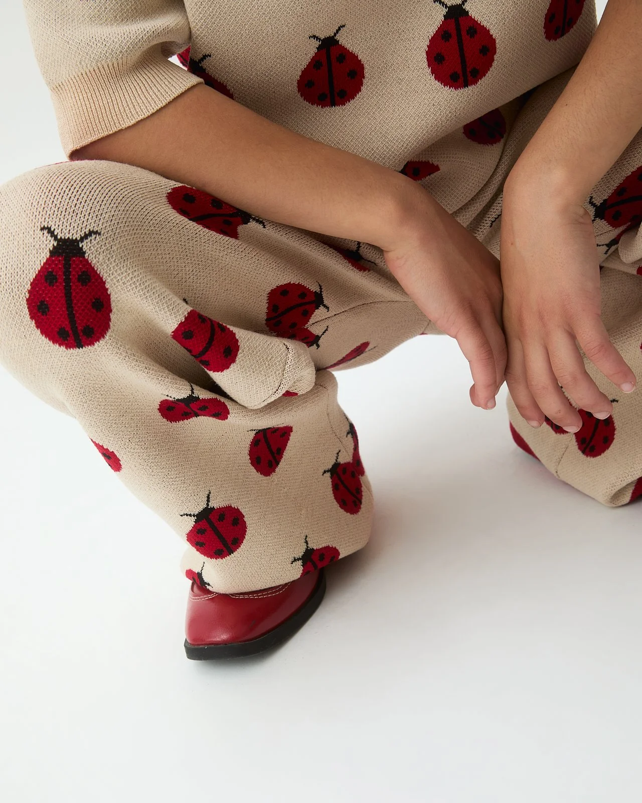 compania fantastica ladybug set 2.jpg