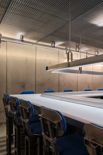 sala de despiece madrid.webp