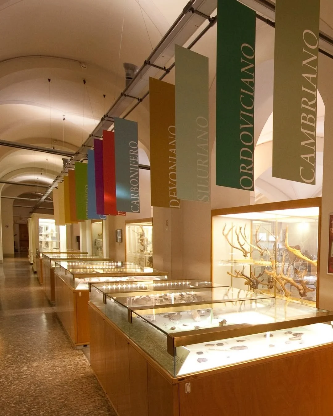 la-specola-museum-florence1.jpg
