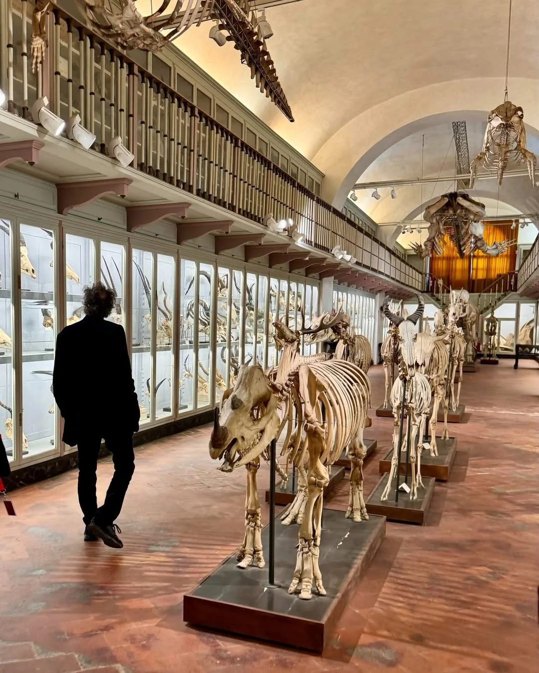 la-specola-museum-florence2.jpg