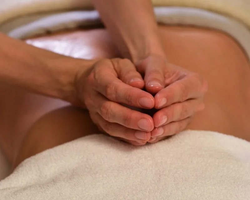 dr-hauschka-pampering-body-oil-treatment-hands-back-close-up (Copy) (Copy)