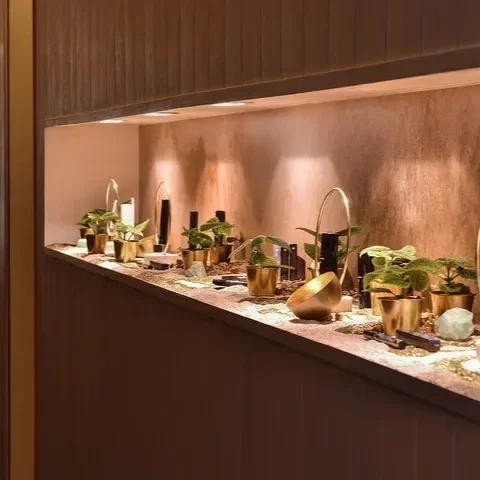 la-maison-dr-hauschka-paris-interior-display-gold-planters-crystals (Copy) (Copy)
