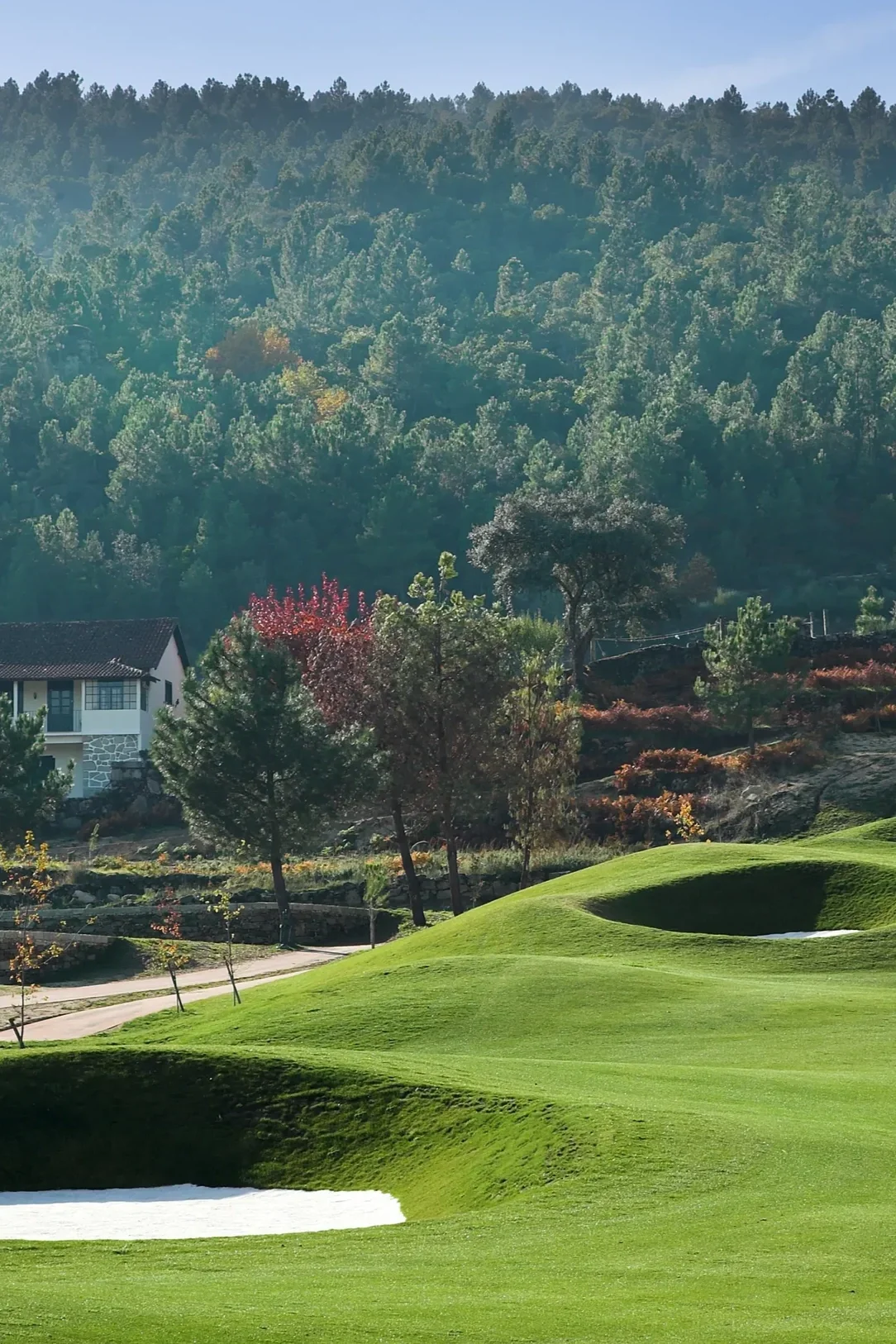 vidago golf.webp