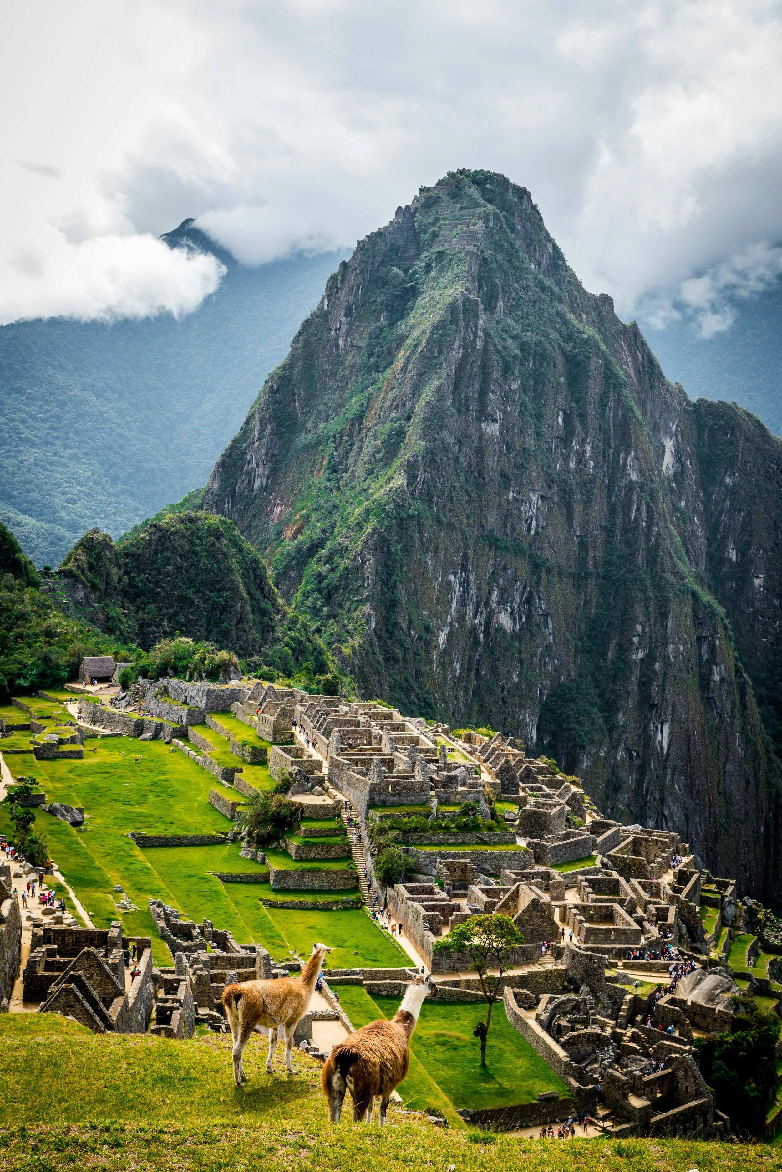 machu-pichu.jpg