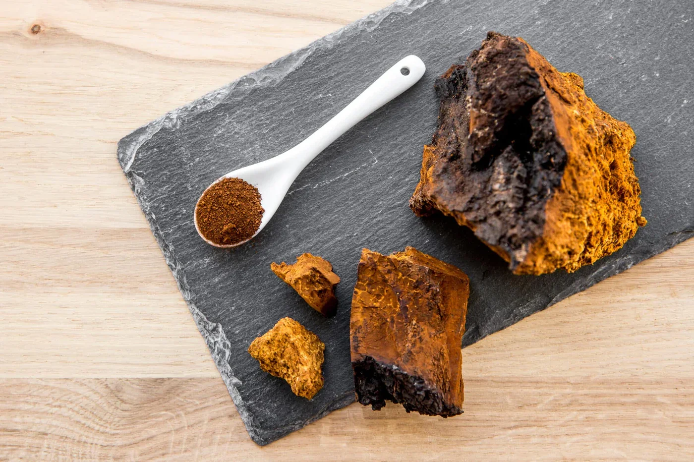 chaga-mushroom.webp (Copy)