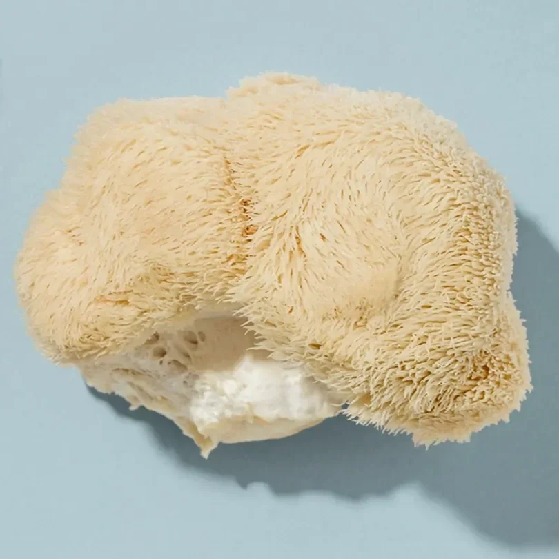lions-mane.webp (Copy)