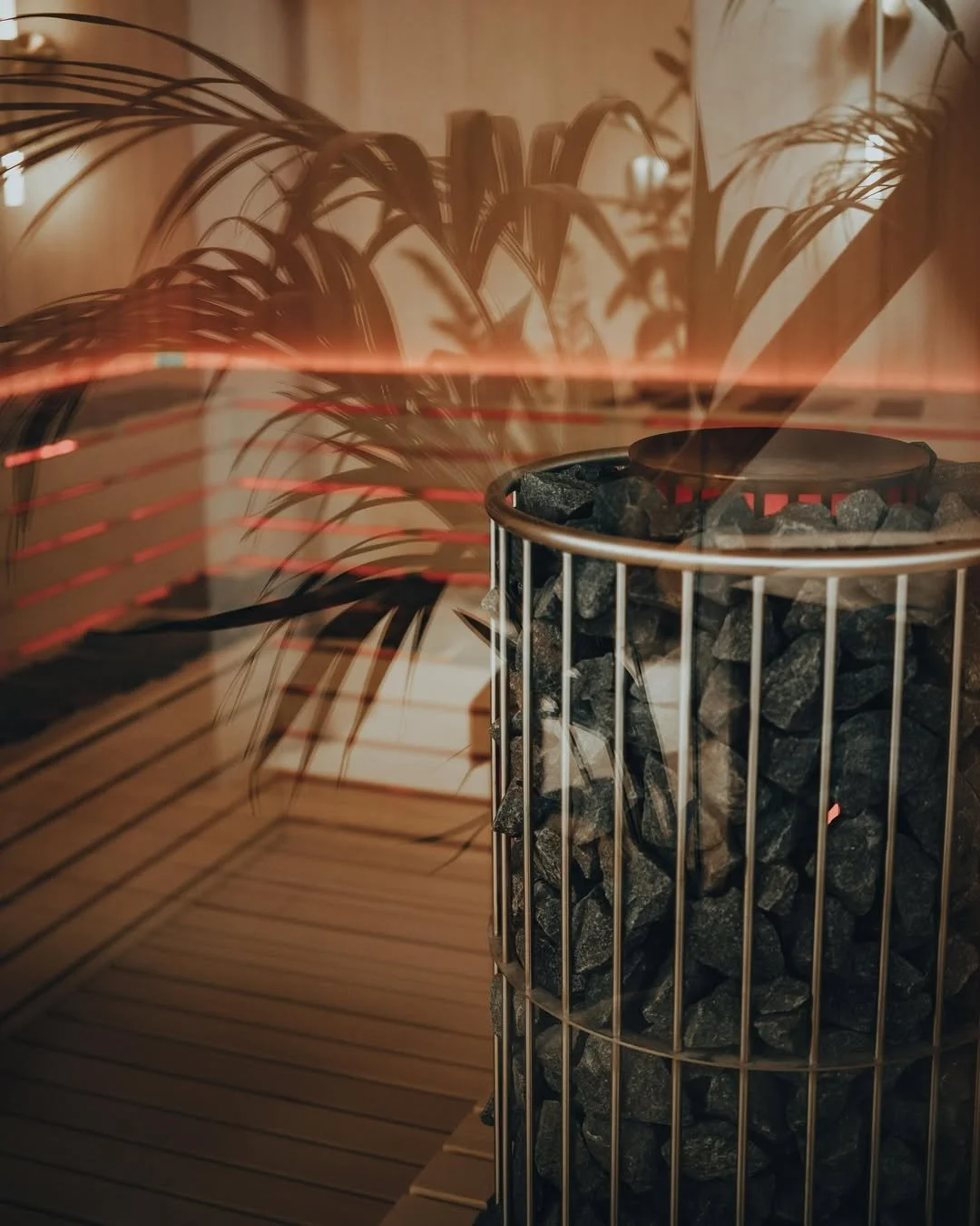 healthy-horizon-lisbon-longevity-club-principe-real-evidence-based-wellness