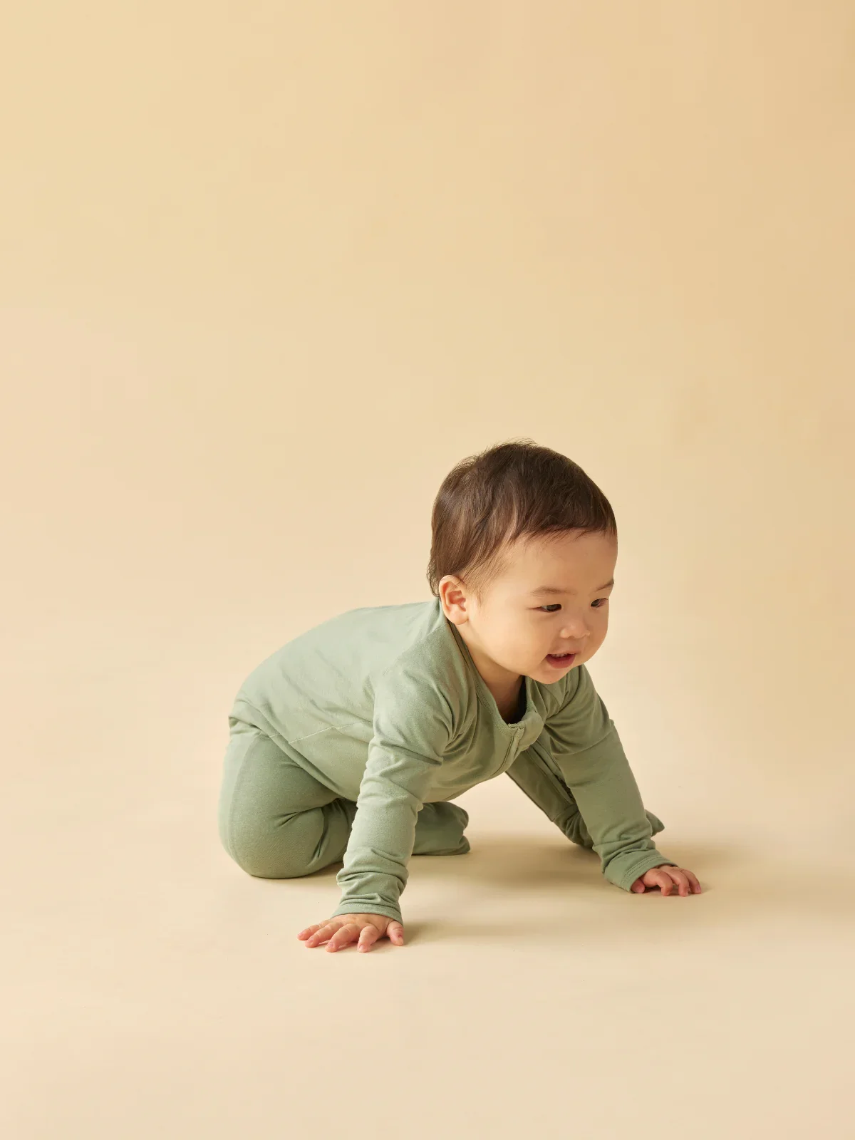 Olive_1.webp