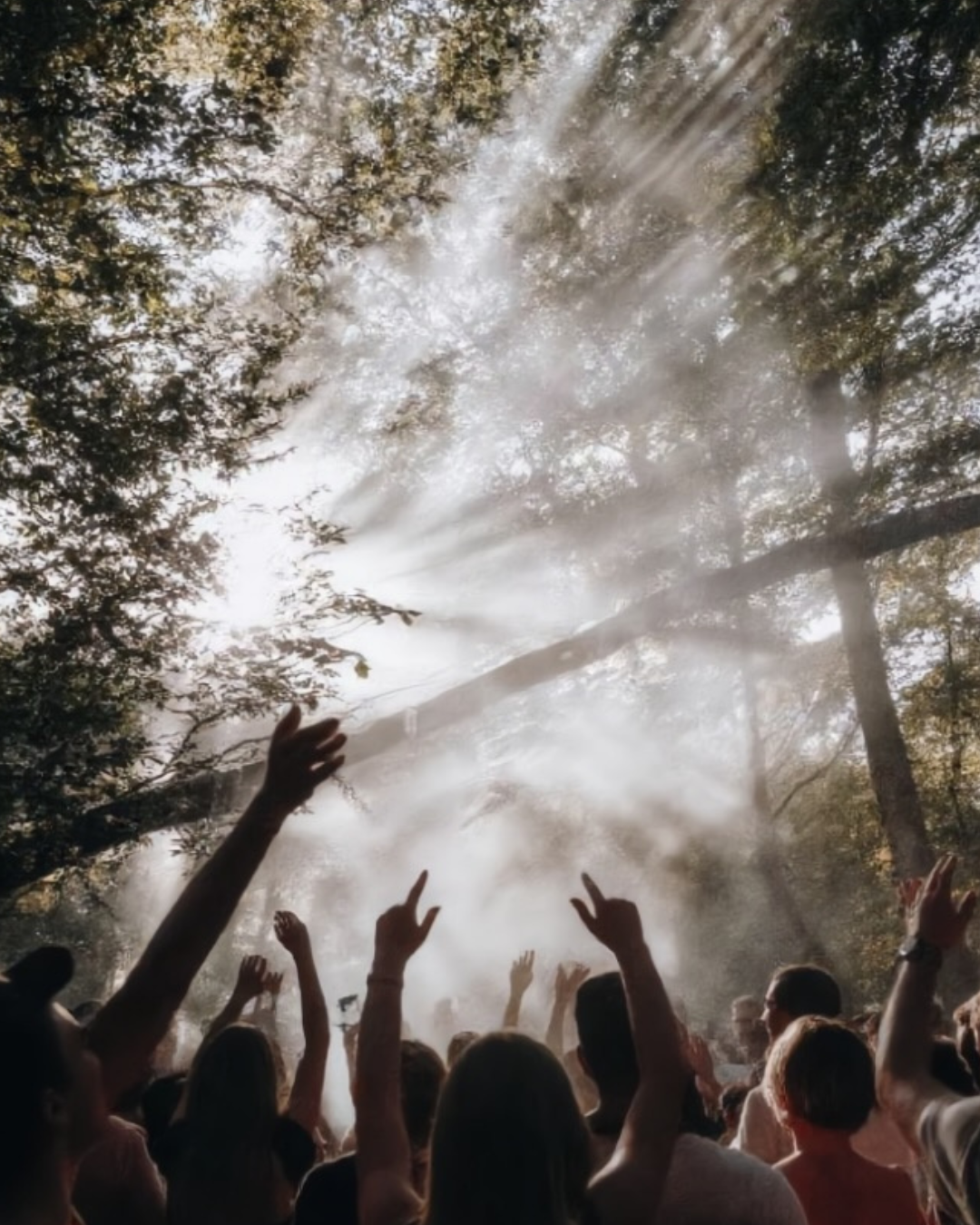 Crowd dancing beneath towering trees with dramatic light rays and mist at KĀYO in the Woods festival