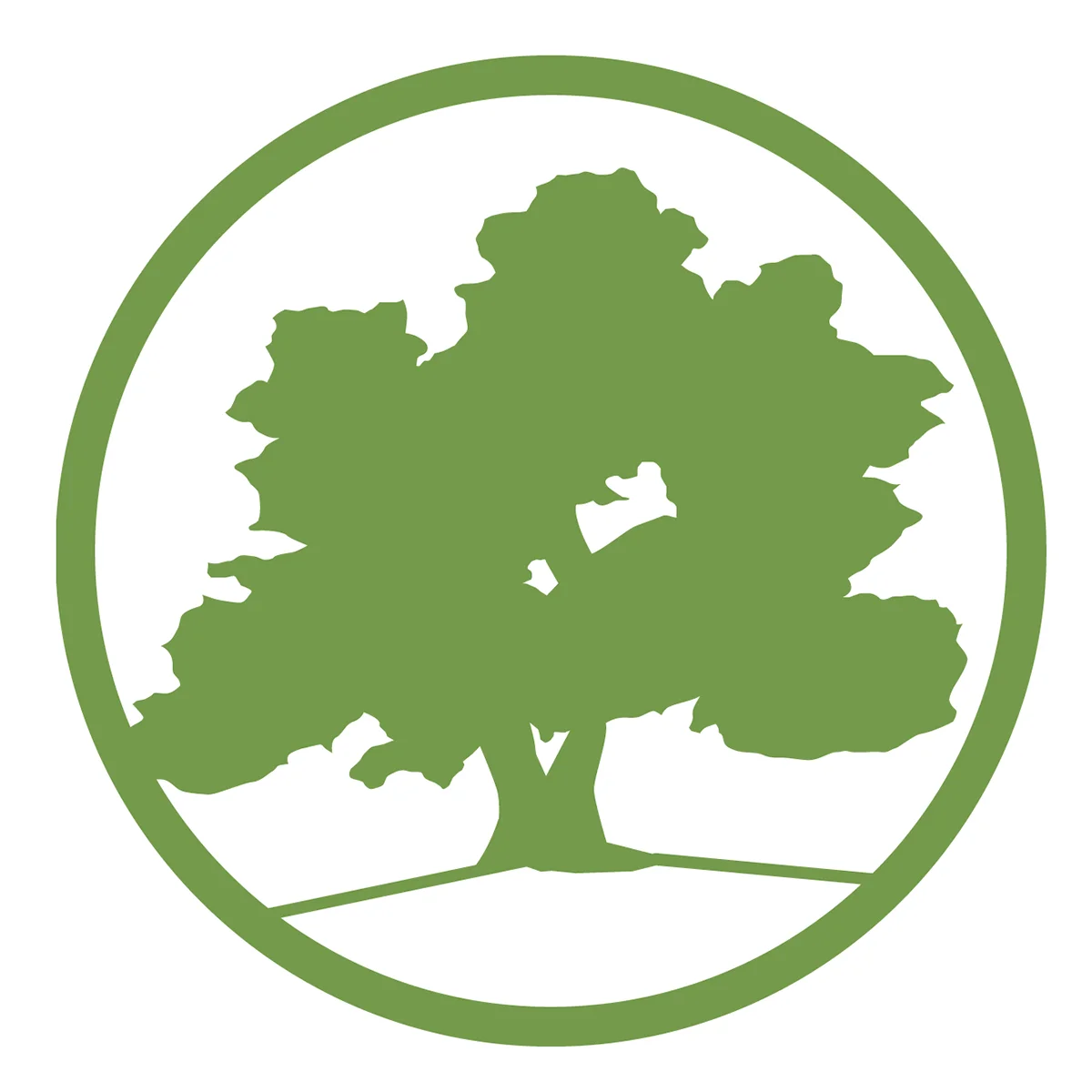 Tree_Color.jpg