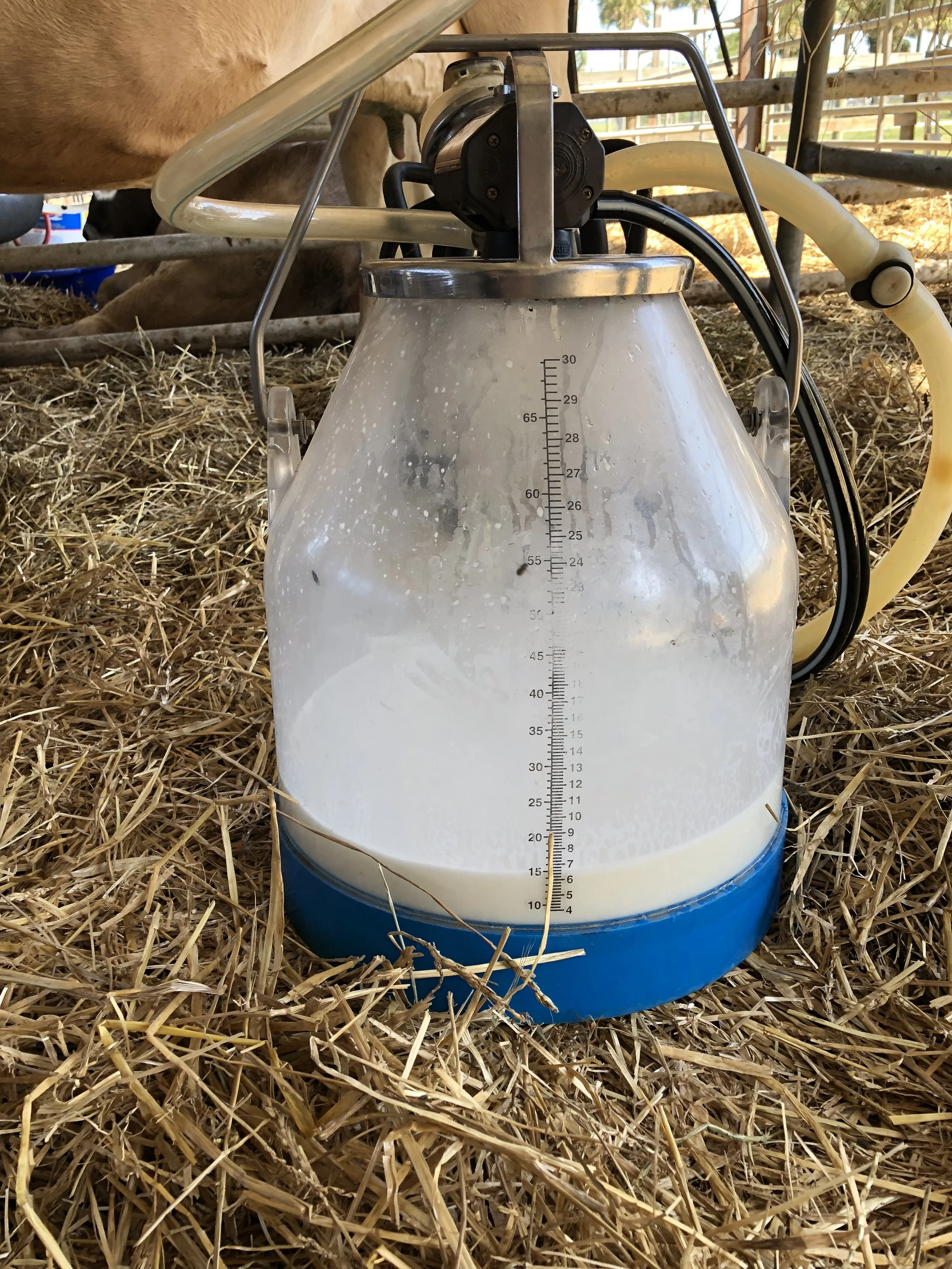 Machine Milk.jpg