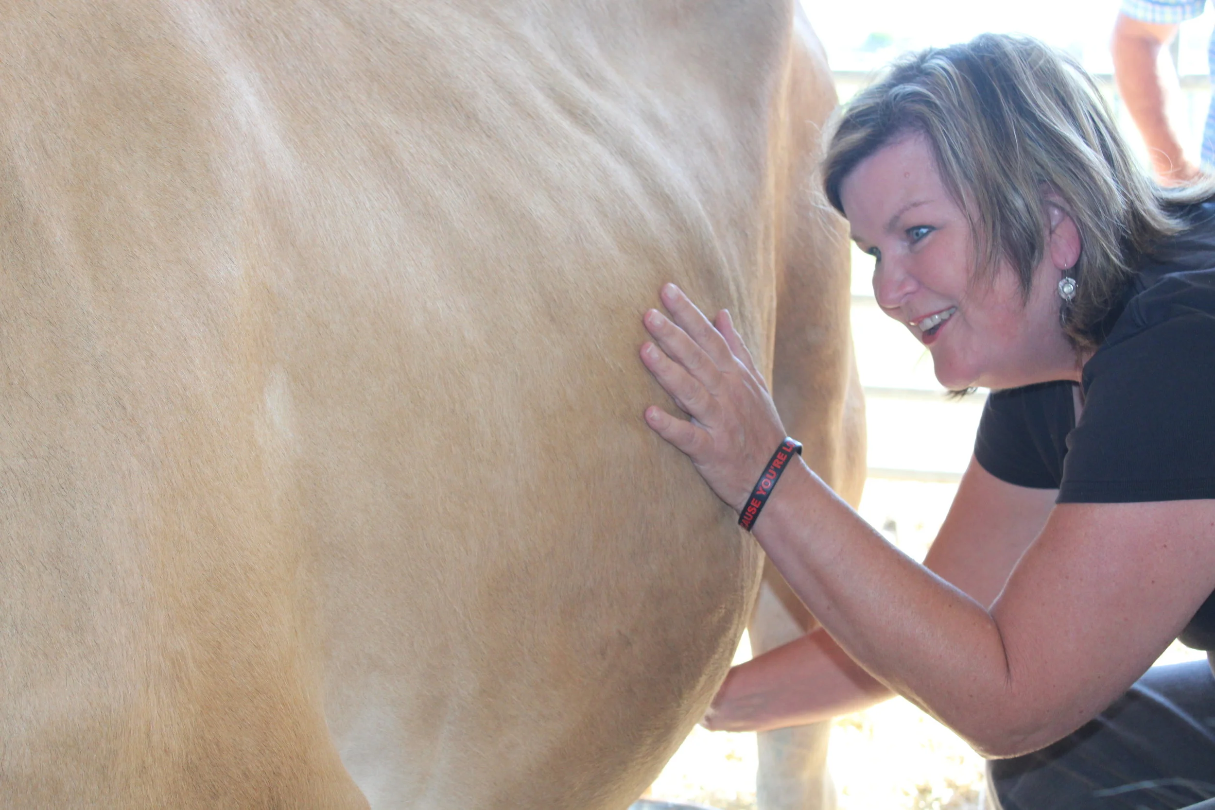 Milking 2.JPG