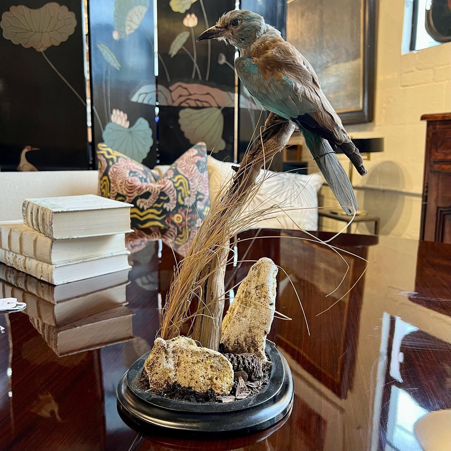 🦅 The early bird gets the worm! 🪱

Our fabulous vendors are making room in their booths for the fall! Be sure to check the Wynsum instagram stories daily for spectacular markdowns on various items throughout the shop! Sale prices are good until end