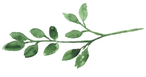 greenery.jpg