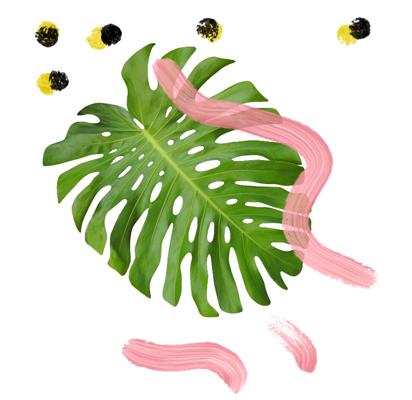leaf.jpg