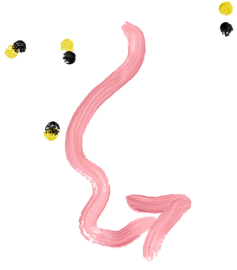 supplement2.jpg