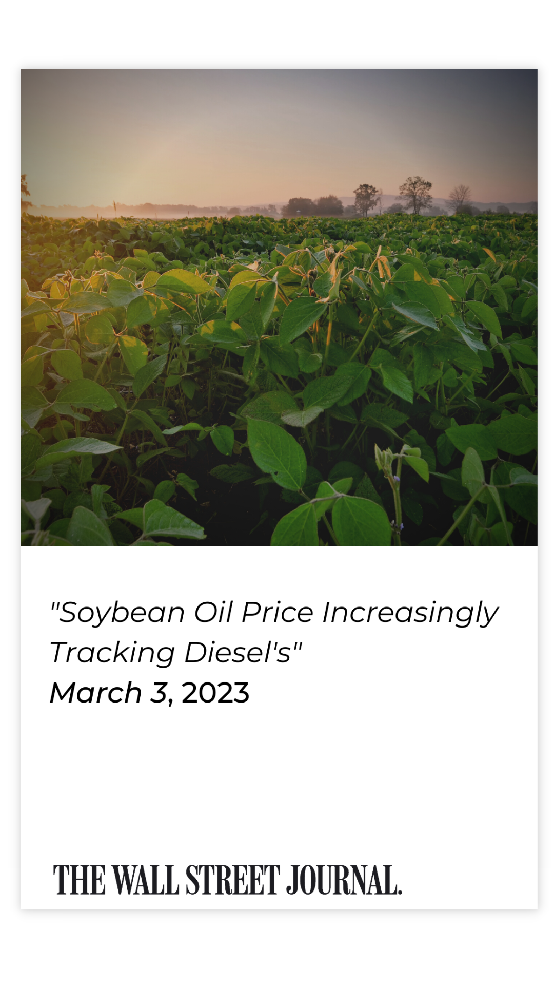 Soybean Oil Price Increasingly Tracking Diesel's
