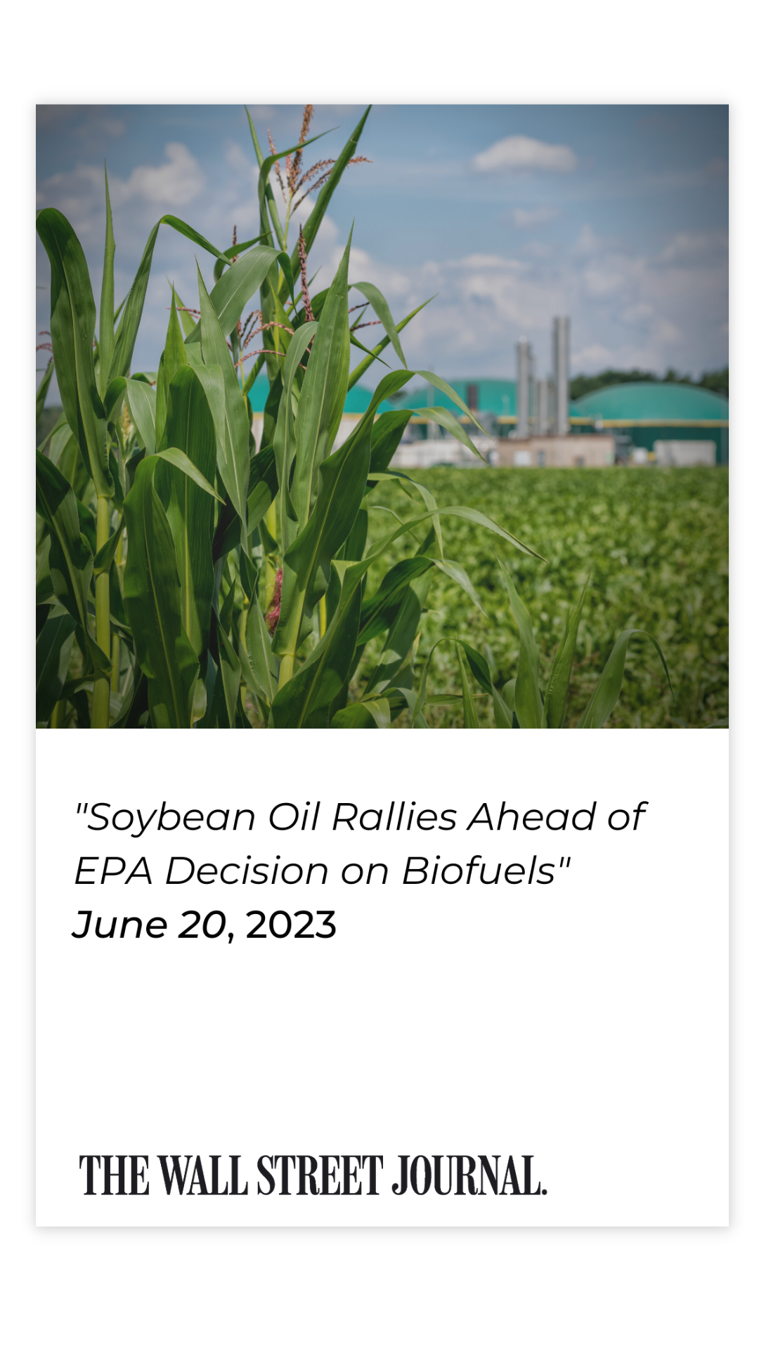 Soybean Oil Rallies Ahead of EPA Decision on Biofuels