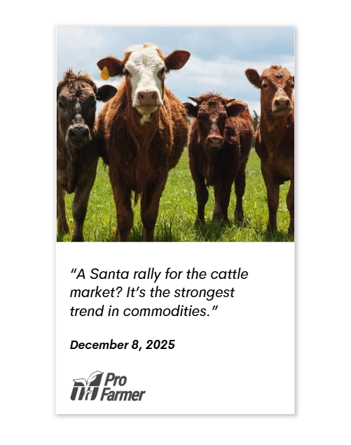   https://www.profarmer.com/news/agriculture-news/santa-rally-cattle-market-its-strongest-trend-commodities  