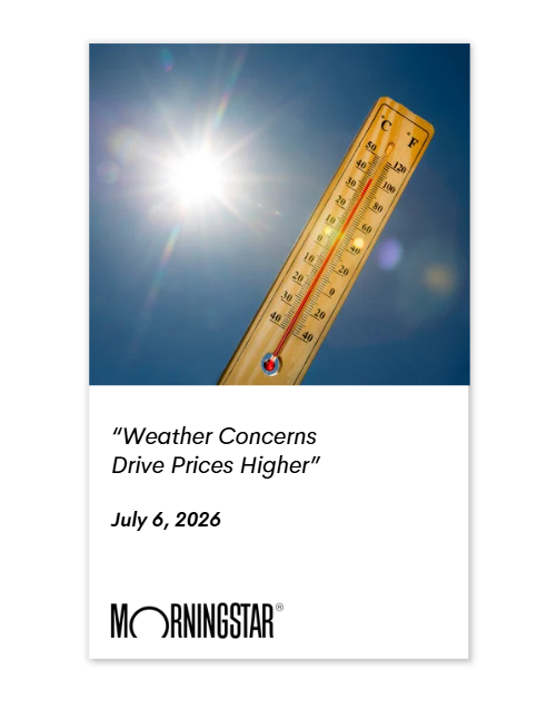 2026-07-07 07 25 09.png