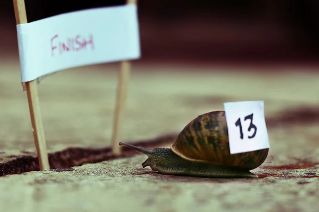 Bay Area Open: The Results!