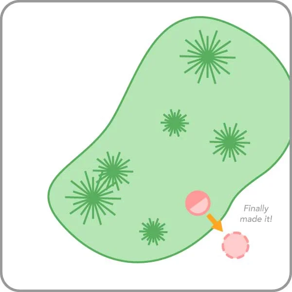 Fig 2c