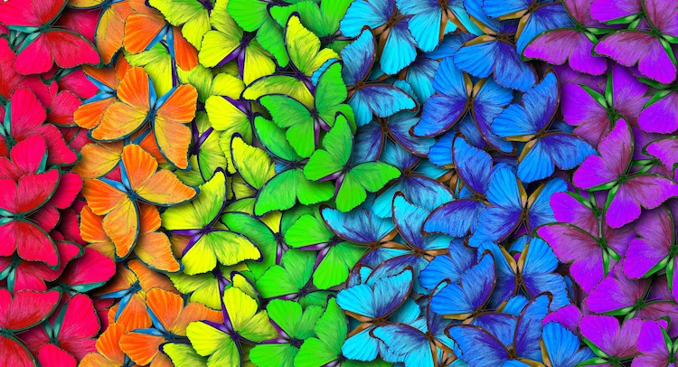 Color Theory: What is Color?