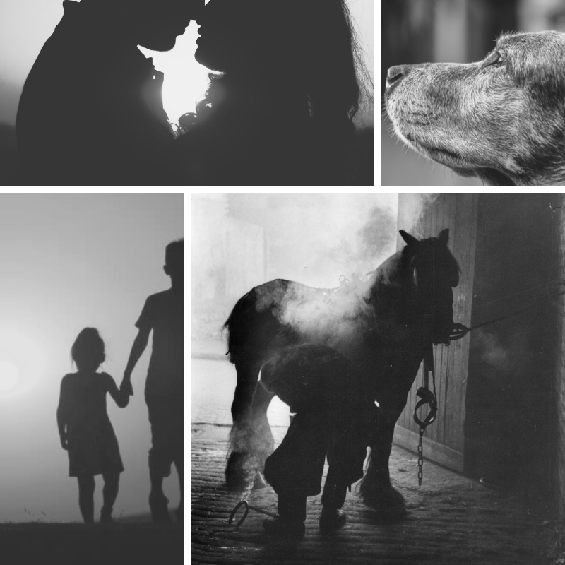 Markus Mood Board