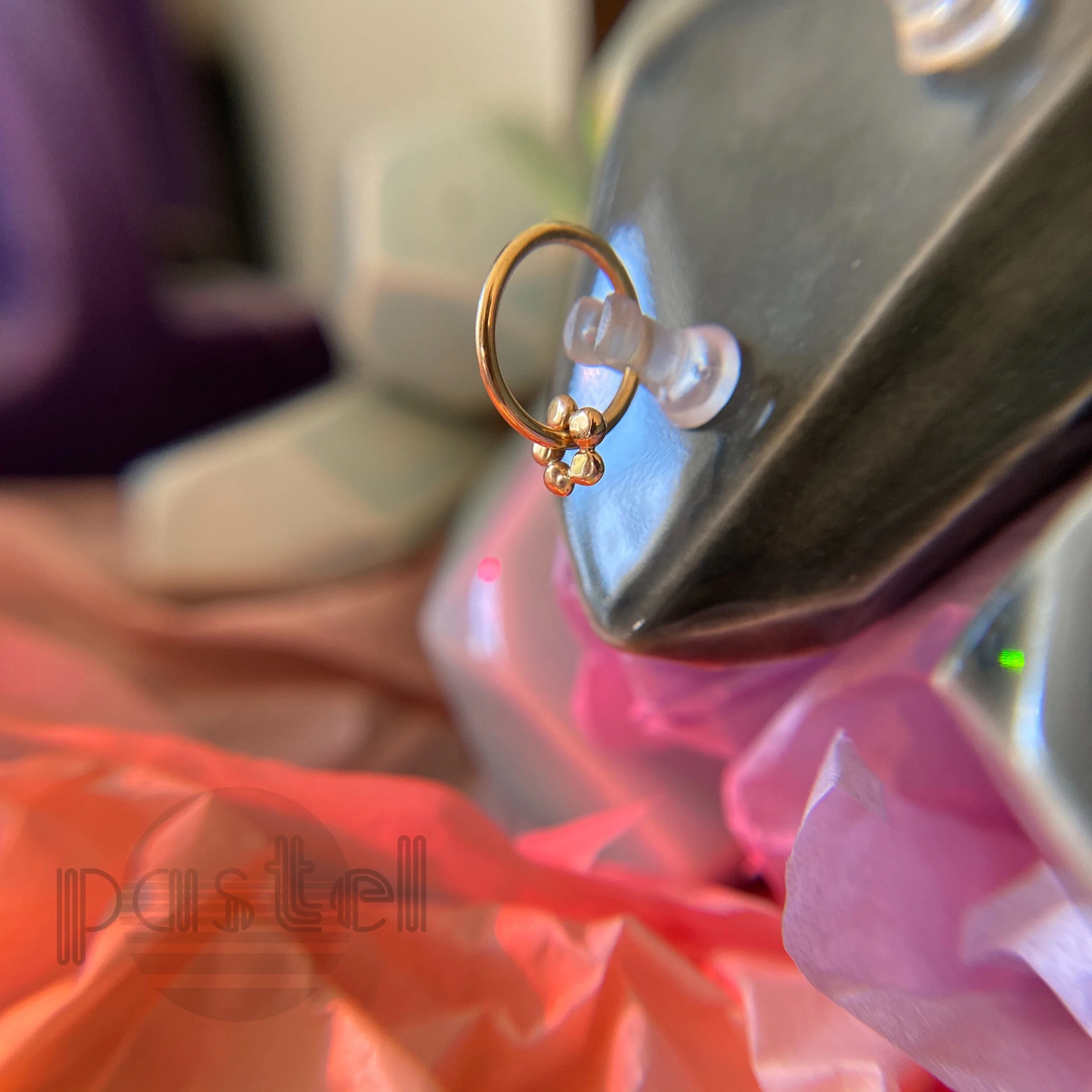 7305D232-C55F-40CC-9DFB-12024A39221E