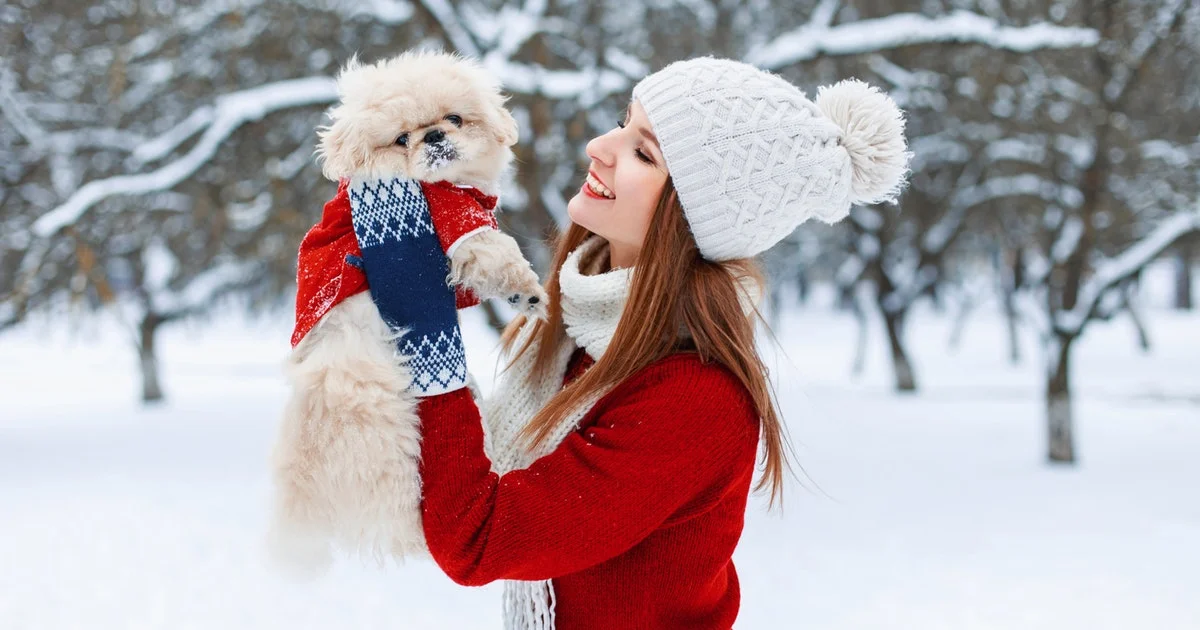 Ugly Sweater Photoshoot.jpg