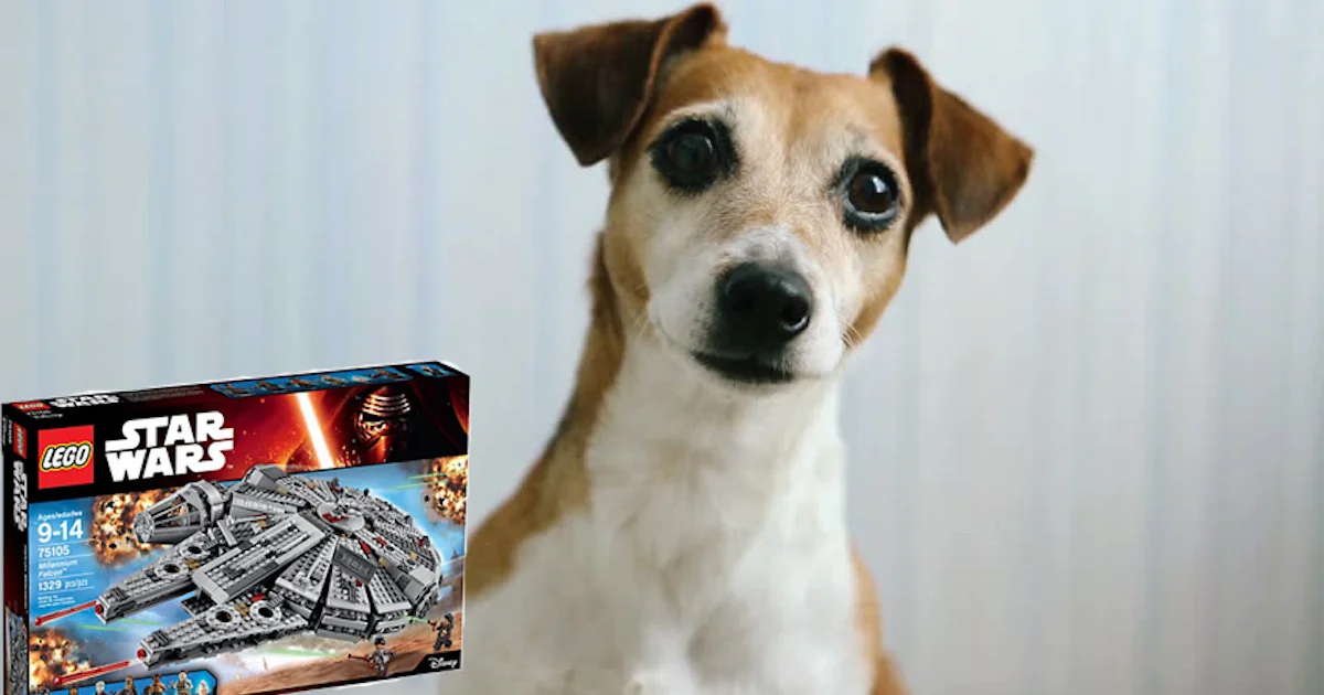 Dog and Lego.jpg