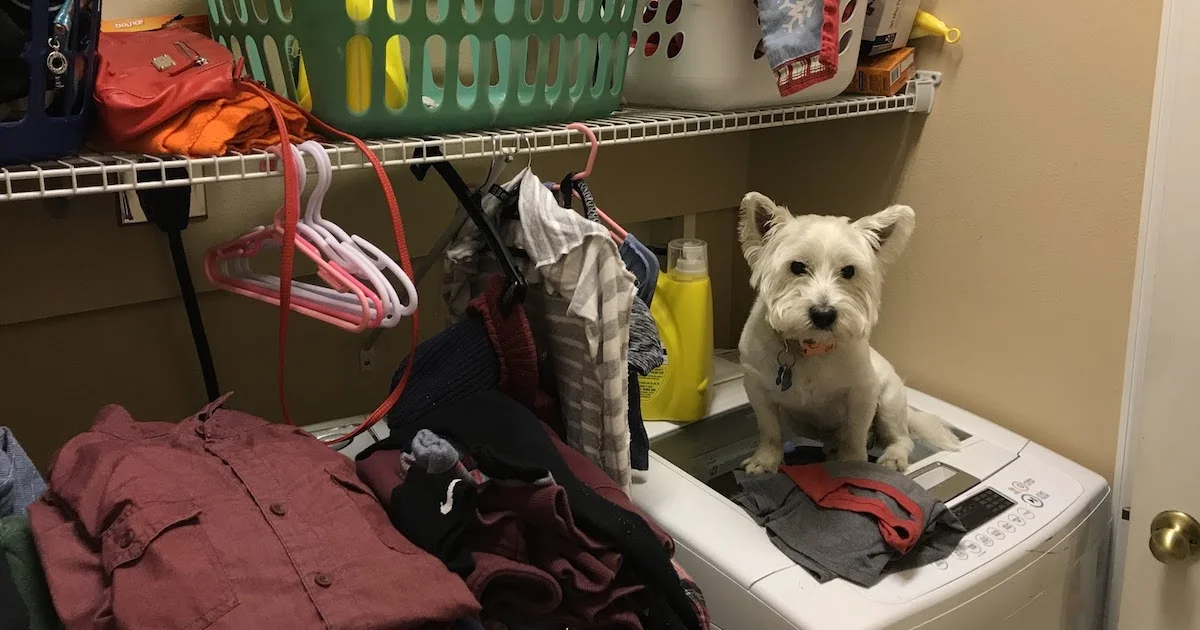 Laundry.jpg