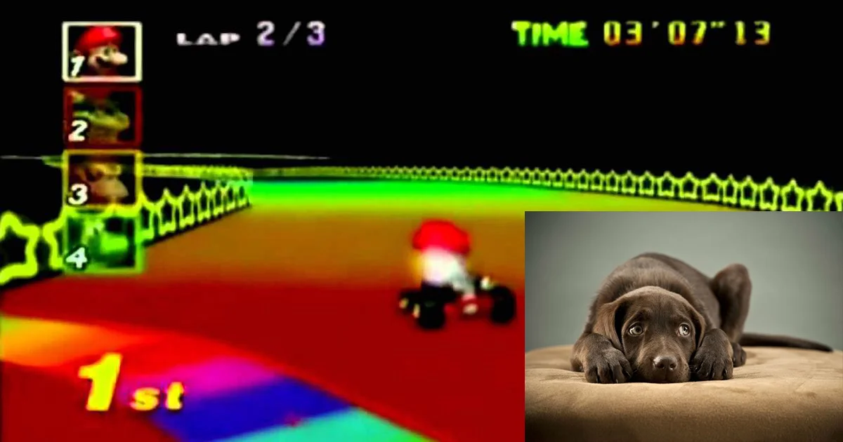 Rainbow Road and Dog.jpg