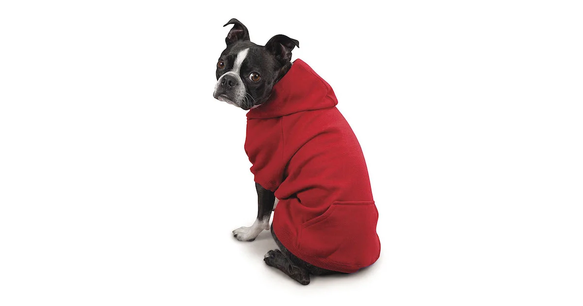 Dog In Hoodie.jpg