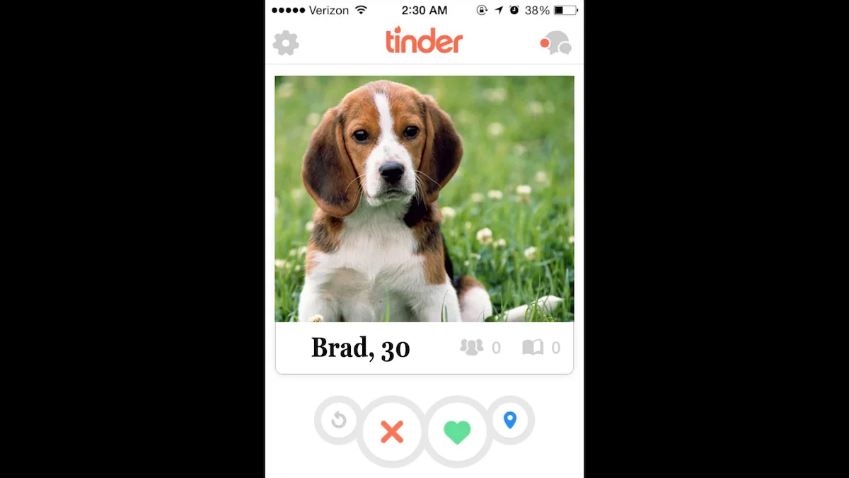 Tinder Dog.jpg