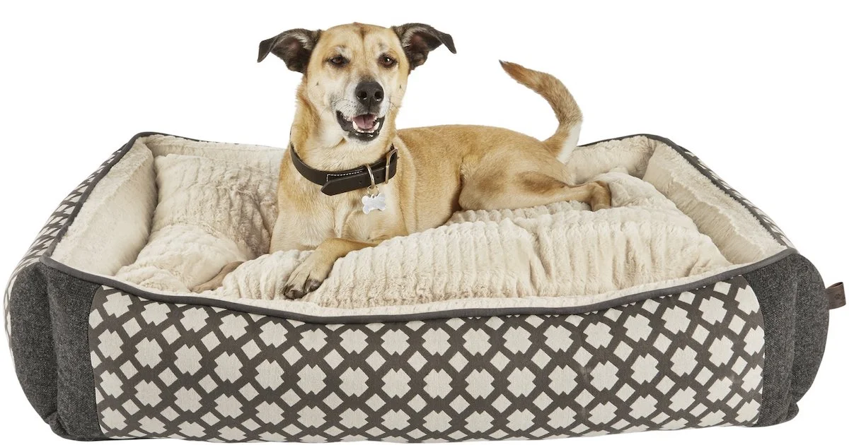 doggie bed.jpg