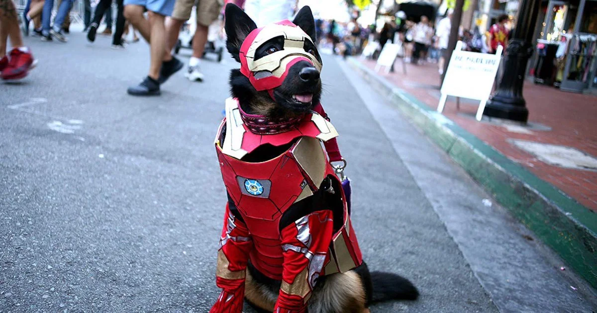 Dog Cosplaying.jpg