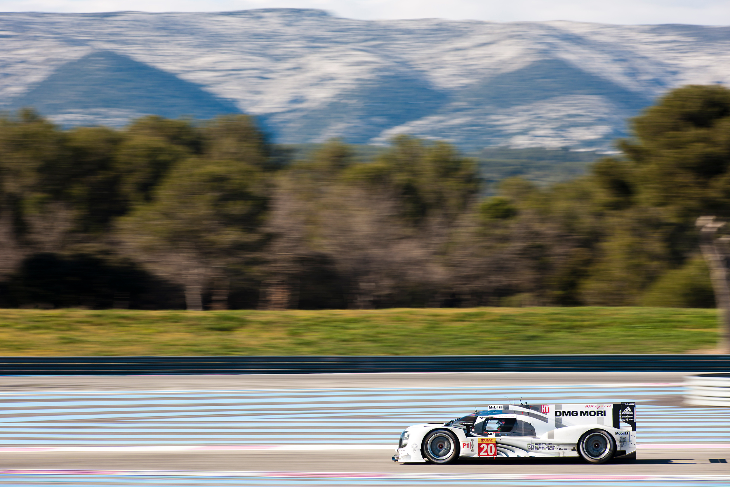 Brendon Hartley, Porsche 919