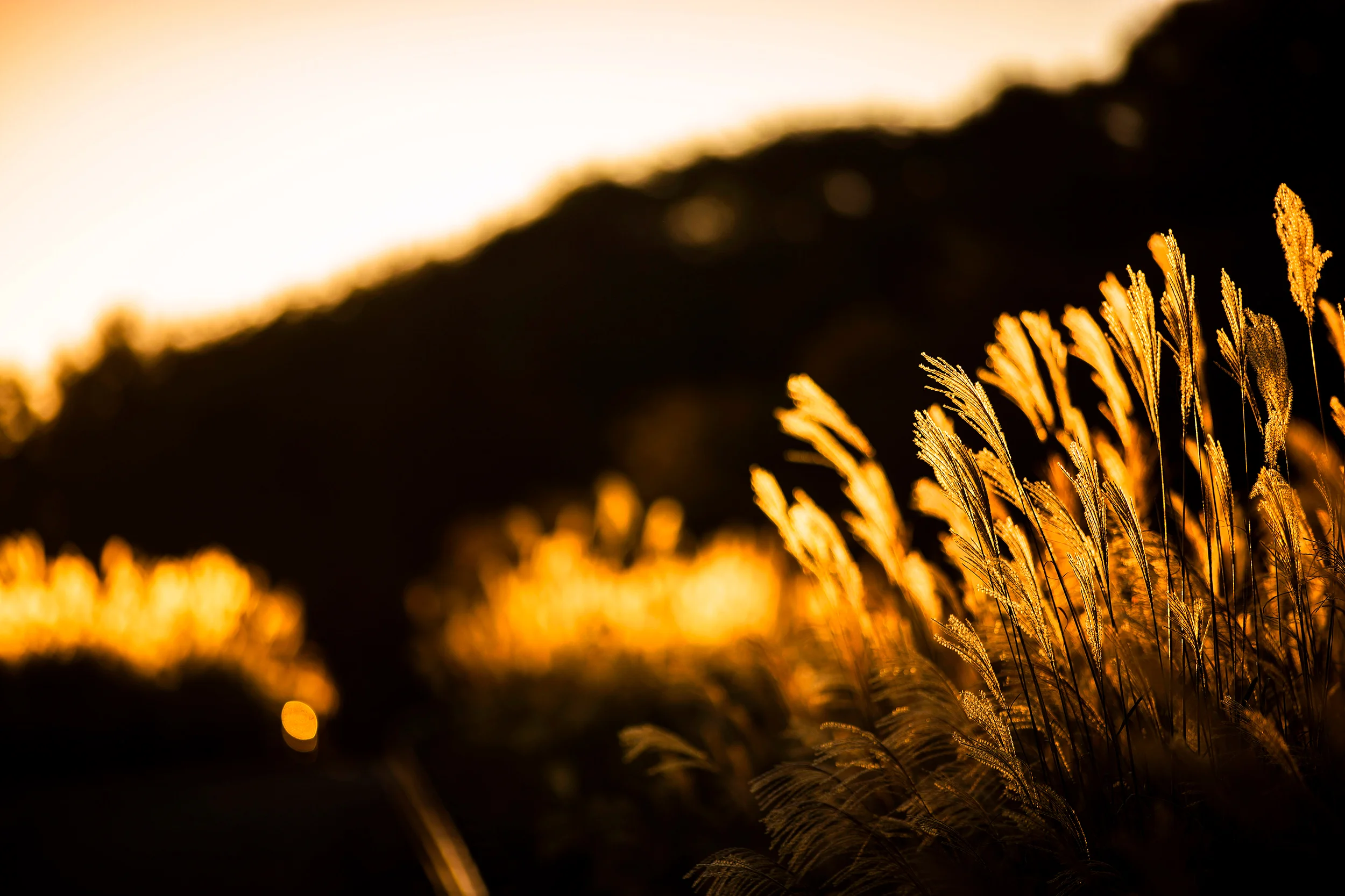 The old Fuji Speedway banking