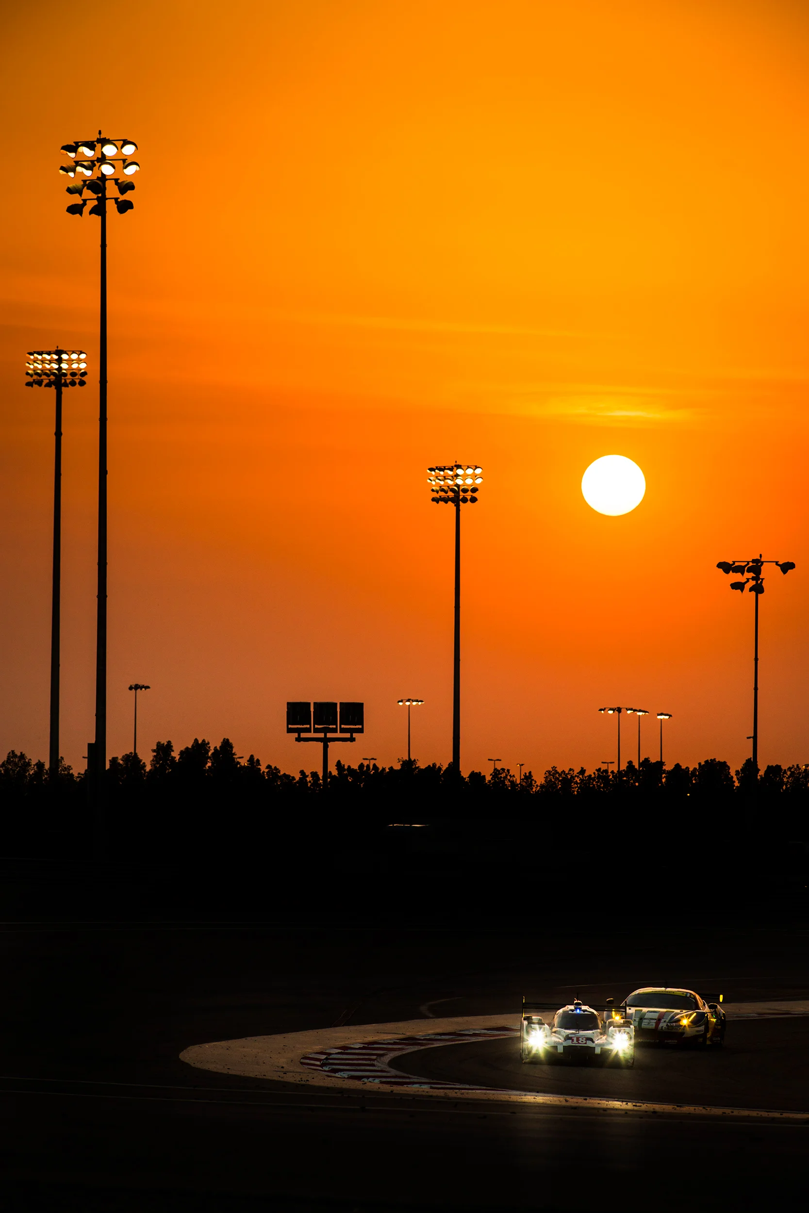 Neel Jani, Porsche 919