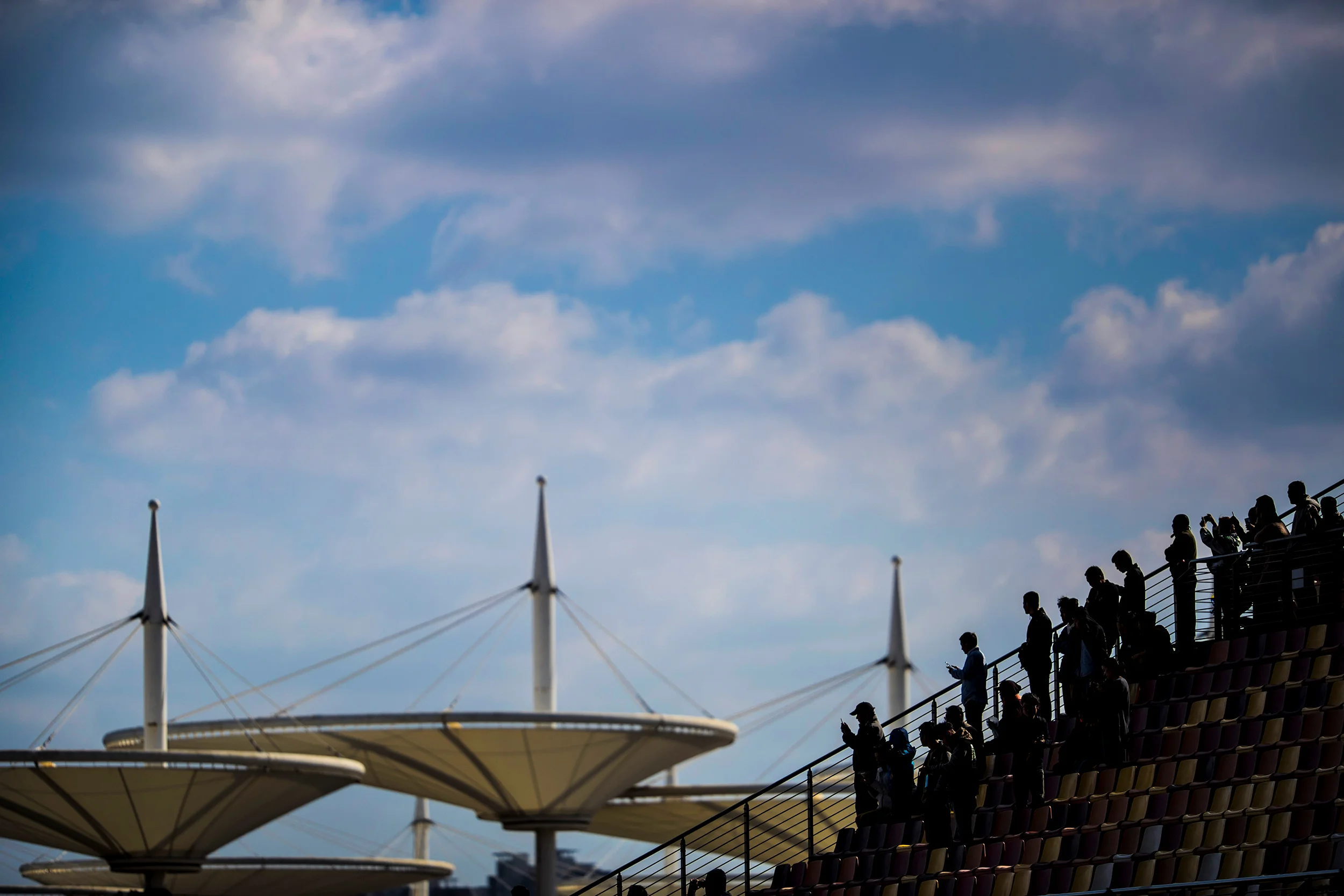 Crowd in the main grandstand