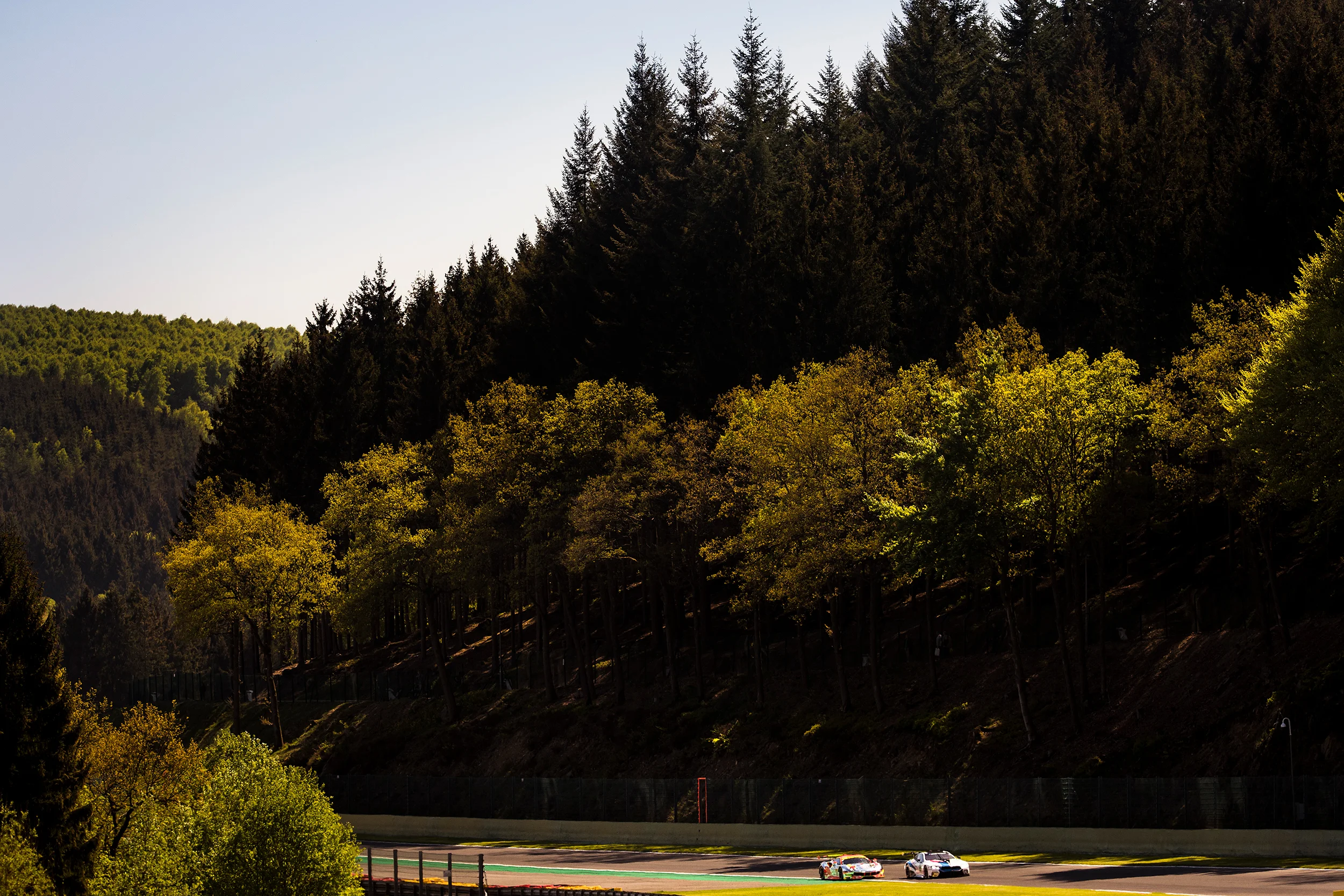 Antonio Felix Da Costa, BMW M8 GTE