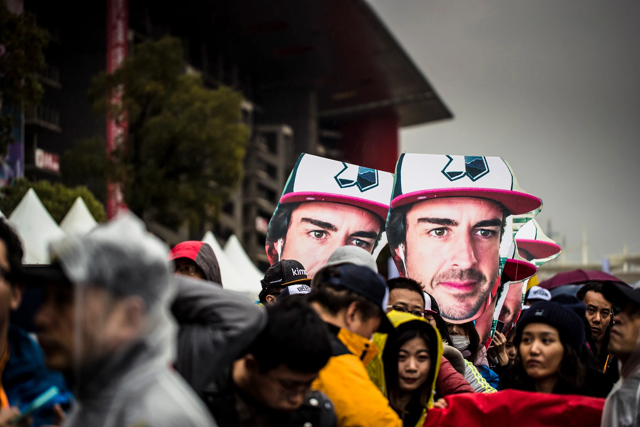 Fernando Alonso fans
