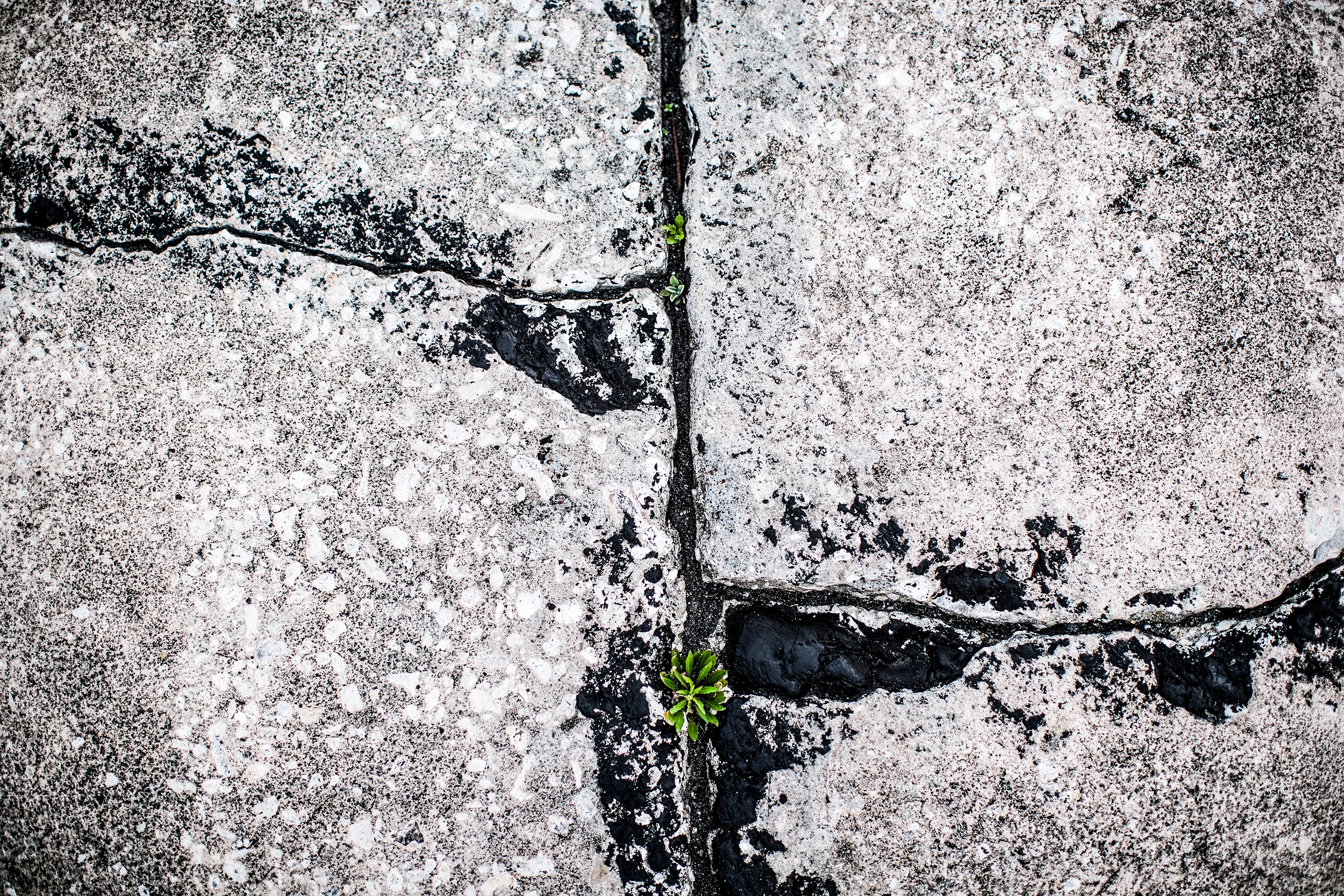 Turn 1, Sebring International Raceway