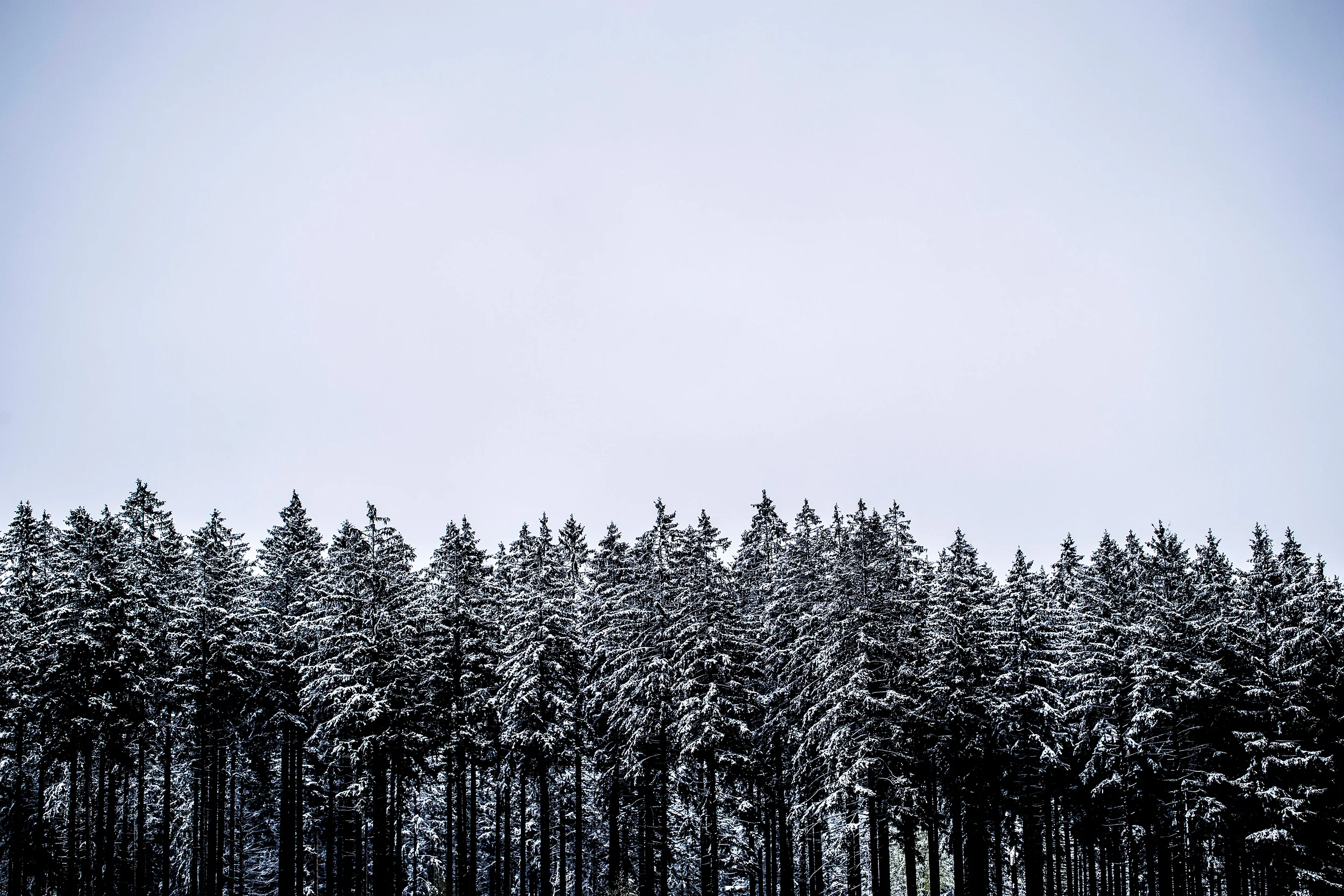 Snow at the circuit Spa Francorchamps