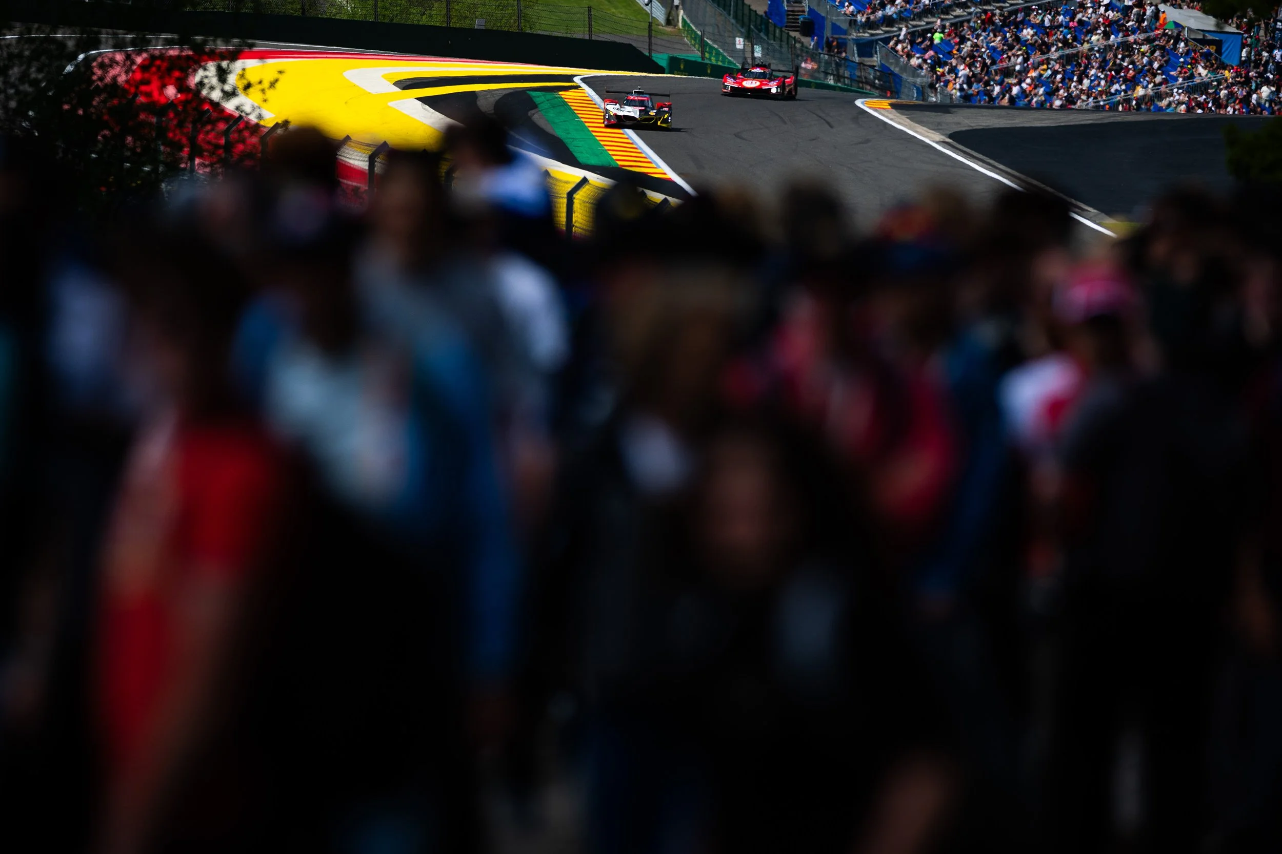 WEC226_050914462112133DG.jpg