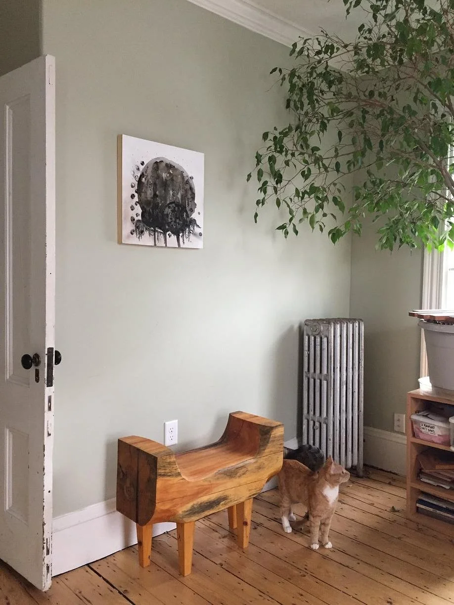 Hanging Garden with kitty.
