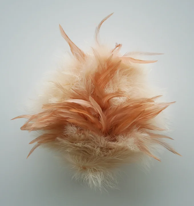 Strange Attractor (poof)